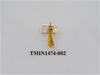 藏品(尺蠖蛾科)的圖片